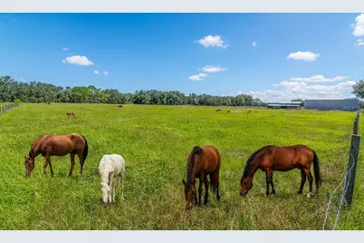 3933 Mammoth Grove Road, Lake Wales, FL 33898 - Photo 35