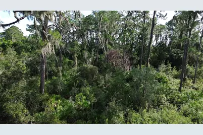 3029 Hawks Landing Circle, Sebring, FL 33875 - Photo 9