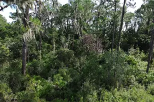 3029 Hawks Lndg Cir, Sebring, FL 33875 - Photo 9