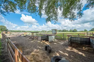 6155 Bethlehem Rd, Mulberry, FL 33860 - Photo 61