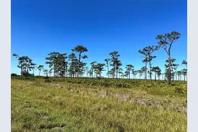 E County Line Road, Fort Meade, FL 33841 - Photo 3