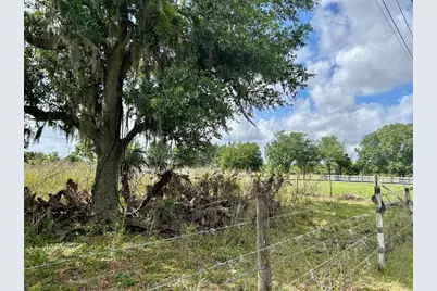 Sr-64, Zolfo Springs, FL 33890 - Photo 13
