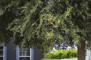 1918 Wind Meadows Dr, Bartow, FL 33830 - Photo 11