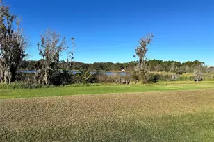 1113 Rally Dr, Polk City, FL 33868 - Photo 1