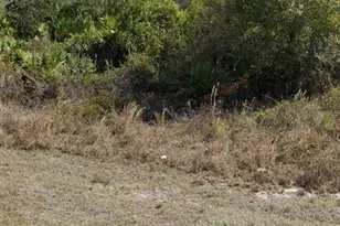 0 SW 142nd Ct, Ocala, FL 34481 - Photo 1