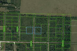 625 N Range Dr, Lorida, FL 33857 - Photo 1