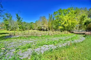 2039 Ranchland Dr, Lakeland, FL 33809 - Photo 71