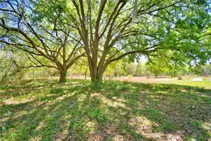 2039 Ranchland Dr, Lakeland, FL 33809 - Photo 81