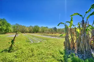 2039 Ranchland Dr, Lakeland, FL 33809 - Photo 51