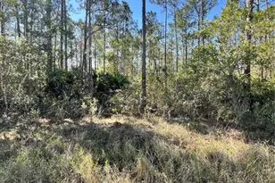 Althea Dr, Indian Lake Estates, FL 33855 - Photo 1