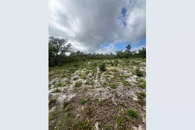 624 Alice Street, Frostproof, FL 33843 - Photo 1