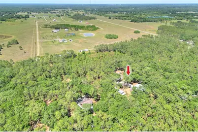 4846 Knights Station Road, Lakeland, FL 33810 - Photo 9