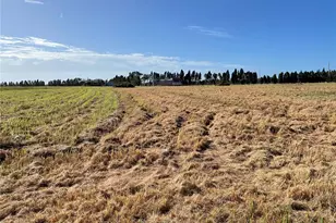 701 E 60 Hwy, Plant City, FL 33567 - Photo 97