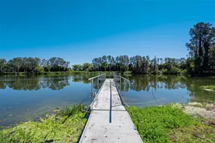 701 E 60 Hwy, Plant City, FL 33567 - Photo 3