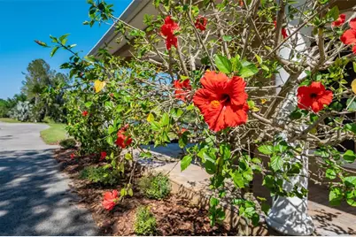 701 E 60 Highway, Plant City, FL 33567 - Photo 7