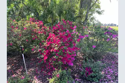 701 E 60 Highway, Plant City, FL 33567 - Photo 77