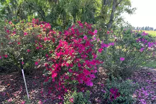 701 E 60 Hwy, Plant City, FL 33567 - Photo 77