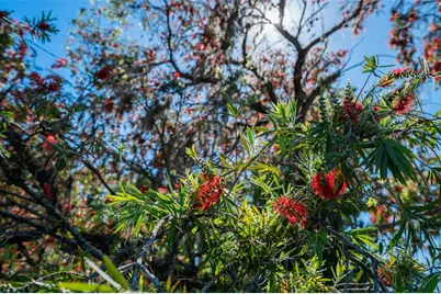 701 E 60 Highway, Plant City, FL 33567 - Photo 79