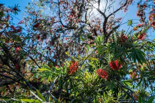 701 E 60 Hwy, Plant City, FL 33567 - Photo 81