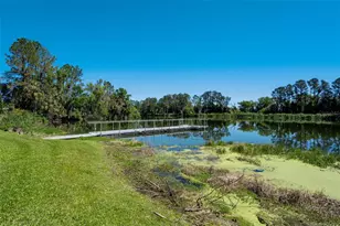 701 E 60 Hwy, Plant City, FL 33567 - Photo 69