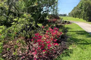 701 E 60 Hwy, Plant City, FL 33567 - Photo 81