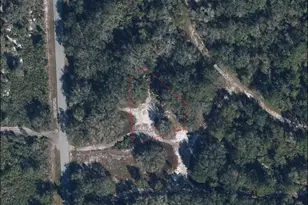 3262 Gossamer Ave, Lake Placid, FL 33852 - Photo 3