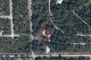 3262 Gossamer Ave, Lake Placid, FL 33852 - Photo 1