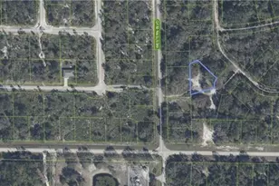 3262 Gossamer Ave, Lake Placid, FL 33852 - Photo 5