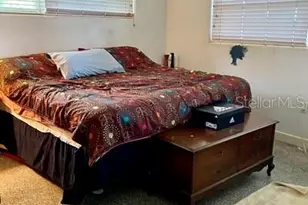 4708 James L Redman Pkwy, Plant City, FL 33567 - Photo 11