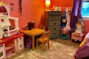 4708 James L Redman Pkwy, Plant City, FL 33567 - Photo 9