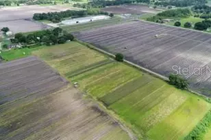 4708 James L Redman Pkwy, Plant City, FL 33567 - Photo 23