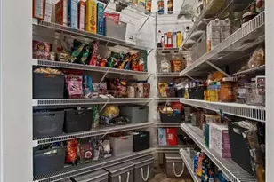 6007 Hammock Hill Ave, Lithia, FL 33547 - Photo 25