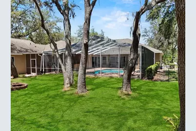 6007 Hammock Hill Avenue, Lithia, FL 33547 - Photo 79