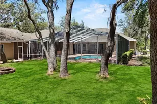 6007 Hammock Hill Ave, Lithia, FL 33547 - Photo 79