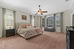 6007 Hammock Hill Ave, Lithia, FL 33547 - Photo 29