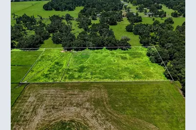 39410 Sparkman Road, Dade City, FL 33525 - Photo 19