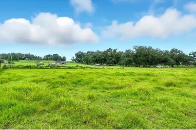 39410 Sparkman Road, Dade City, FL 33525 - Photo 5