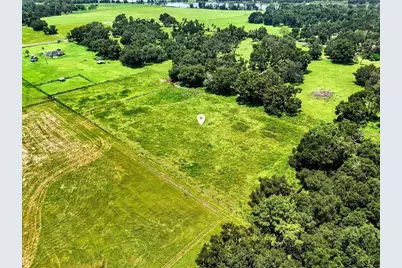 39410 Sparkman Road, Dade City, FL 33525 - Photo 9