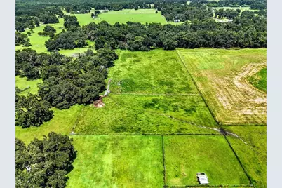 39410 Sparkman Road, Dade City, FL 33525 - Photo 15