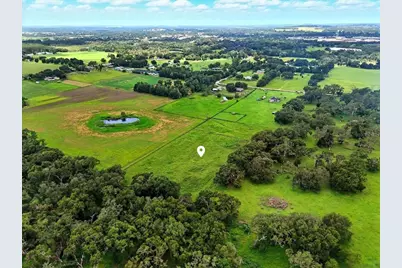 39410 Sparkman Road, Dade City, FL 33525 - Photo 11