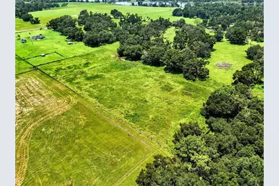 39410 Sparkman Road, Dade City, FL 33525 - Photo 25