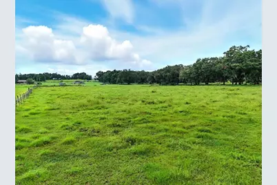 39410 Sparkman Road, Dade City, FL 33525 - Photo 5