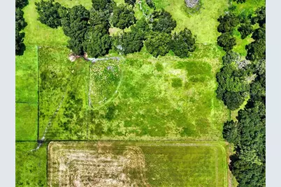 39410 Sparkman Road, Dade City, FL 33525 - Photo 21