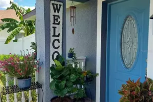 455 Eagle Dr, Kissimmee, FL 34759 - Photo 3