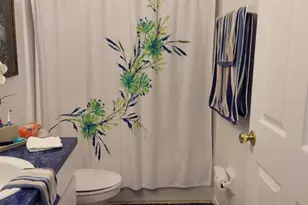 455 Eagle Dr, Kissimmee, FL 34759 - Photo 19