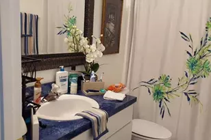 455 Eagle Dr, Kissimmee, FL 34759 - Photo 9