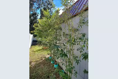 455 Eagle Drive, Kissimmee, FL 34759 - Photo 33