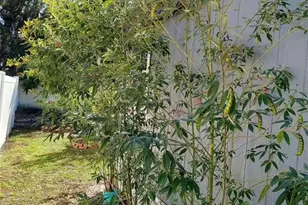 455 Eagle Dr, Kissimmee, FL 34759 - Photo 33