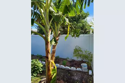 455 Eagle Drive, Kissimmee, FL 34759 - Photo 29