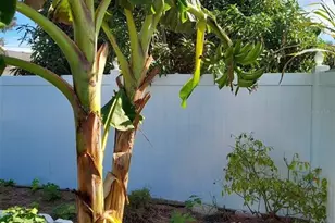 455 Eagle Dr, Kissimmee, FL 34759 - Photo 29